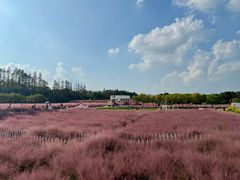 -嘉北郊野公园