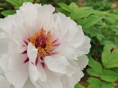 -仁和公园(顺义区)