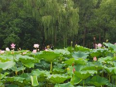 -承德避暑山庄景区