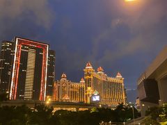-澳门威尼斯人综合度假区