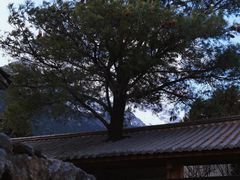 -玉湖村