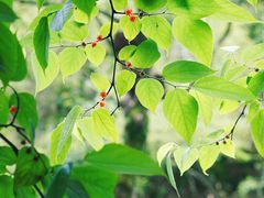 -东钱湖旅游度假区