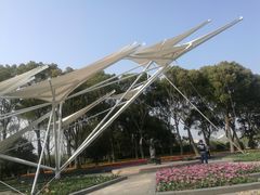 -上海鲜花港