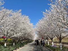 -古柏渡飞黄旅游区