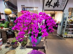 -双季花艺园艺市场(浦东店)
