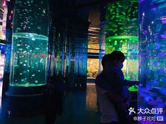 -石家庄海洋公园