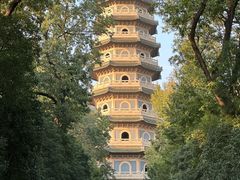 -灵谷景区