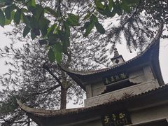 -遂昌金矿国家矿山公园