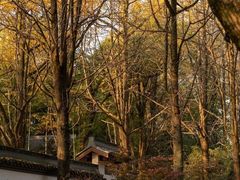 -西湖风景区十里琅珰-五云山