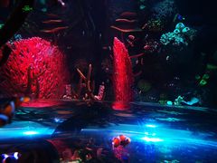 -沈阳海洋探索中心