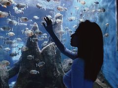 -石家庄海洋公园