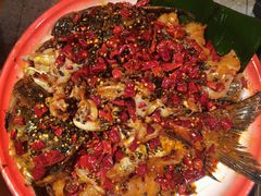 -吃城都·鱼蛙火锅(西玉龙街店)