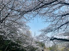 -杭州少年儿童公园
