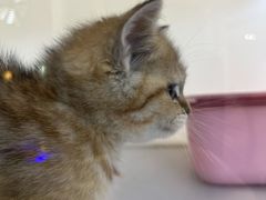 -万达广场(临港店)