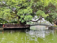 -荔湾湖公园