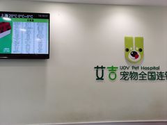 -艾吉宠物医院·疑难杂症转诊中心·猫友好(碧江路院)