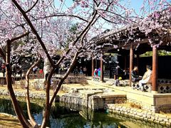 -三里河公园