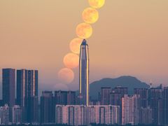 -深圳湾公园(南山区)