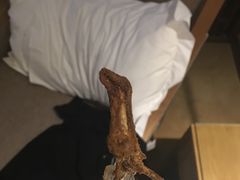 -但家香酥鸭(花溪民主路店)