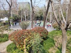 -莲湖公园