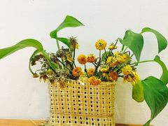 -PETIT PARIS 小巴黎(花园道店)