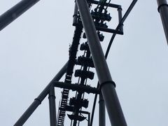 -飞天翼龙