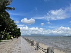 -深圳湾公园(南山区)