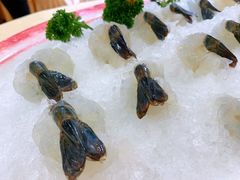 -荔城生鲜盛宴(番禺旗舰店)