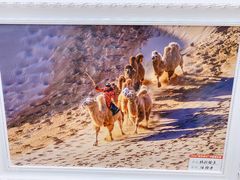 -文汇新民联合报业集团(上海报业大厦店)