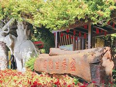 -盈香心动乐园