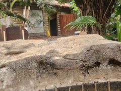 -龙达温泉生态城