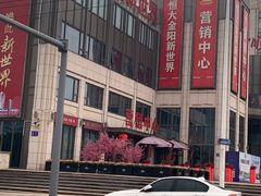 -恒大金阳新世界