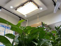 -芳芳餐厅(白沙路店)