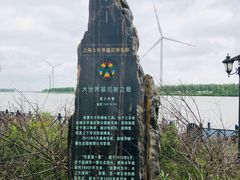 -盐城丹顶鹤湿地生态旅游区