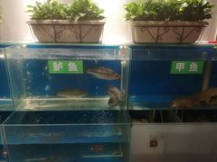 -惠丰堂饭庄·烤鸭·京味菜(西北旺·唐家岭店)