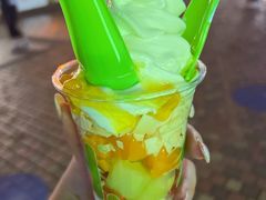 -Salud撒露欧洲冻酸奶(蓝色港湾店)