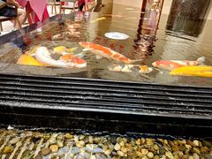 -唐山河头老街国丰维景国际大酒店