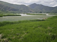 -泸沽湖国家级风景名胜区走婚桥