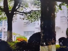 -上海第二工业大学(金海路校区)