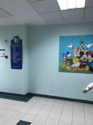 -上海交通大学医学院附属上海儿童医学中心(陆家嘴总院区)