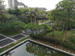 -采粤轩中餐厅(惠州金海湾喜来登度假酒店)