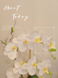 -FUMEIHUI·科技美肤·美体SPA