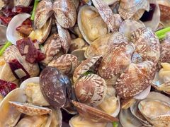 辣炒蛤蜊-青岛啤酒之家