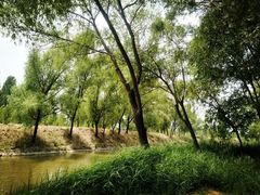 -东方巨龟苑景区