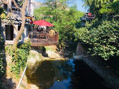 -老张烤羊(王哥庄店)