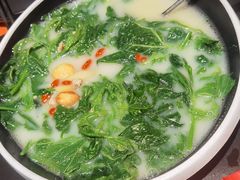 -羽鸽集·乳鸽专门店·地道顺德菜(岭南站店)
