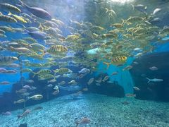 -泉城欧乐堡海洋极地世界