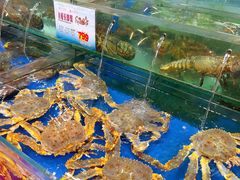 水产区-东江海鲜酒家(艺都分店)