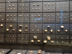 -北京周口店北京人遗址博物馆