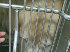 -佳雯宠物医院·皮肤科·内外科(春晓路分院)